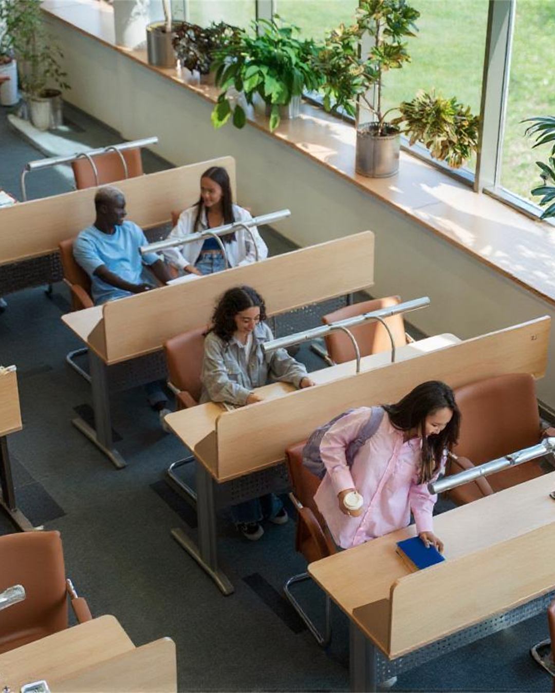 Students studying at desks in a bright, quiet library